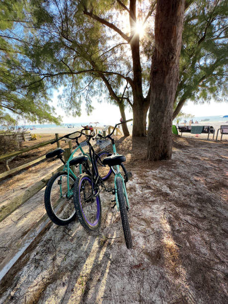 istock Bicycles on tropical sunny beach 1453102922