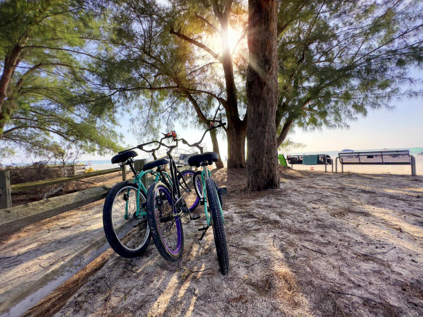 istock Bicycles on tropical sunny beach 1453102932