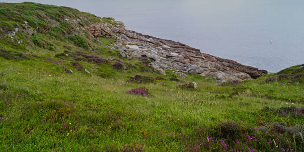 istock Landscape at the Tarbat Ness Lighthouse. 1453103882