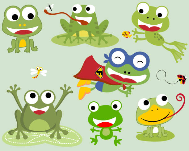 illustrazioni stock, clip art, cartoni animati e icone di tendenza di set vettoriale di cartone animato di rane divertenti in diverse attività con insetti e pesci - frog catching fly water