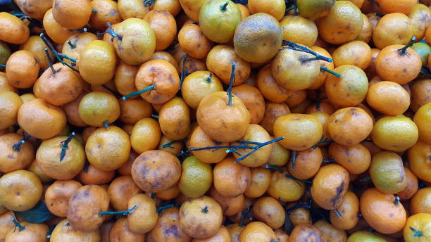 istock pile of fresh oranges 1453109478