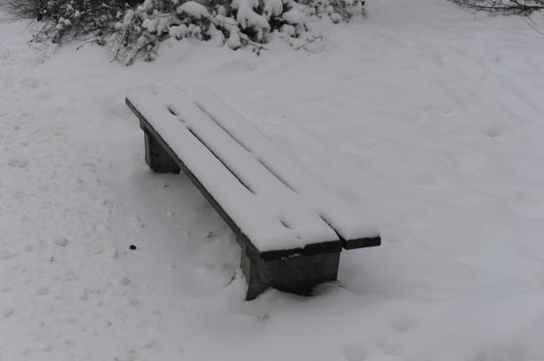 istock Empty bench on a snowy day in a park in winter 1453116440