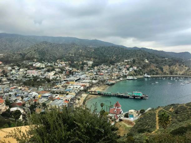 istock Catalina island view point 1453118080