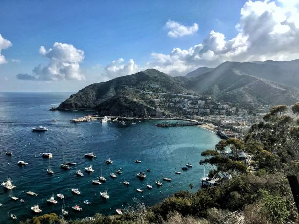 istock Catalina island view point 1453118113