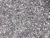 cobblestone background texture ,Naturally rounded gravel at sea shore Nature background texture pattern