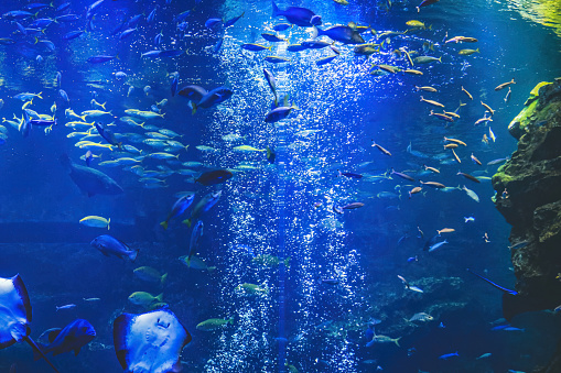 3d illustration. Corridor of underwater hotel blue background