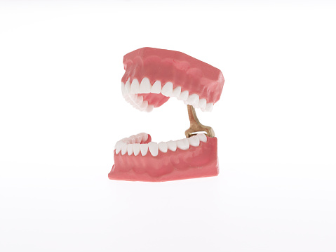 Happy dentist holding a denture and smiling