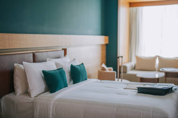 현대적인 호텔룸 - 더블 침대, 야간 테이블, 데이 소파 베드 - double bed night table headboard bed 뉴스 사진 이미지