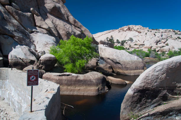 istock joshua tree national park california barker dam landscape 1453121721
