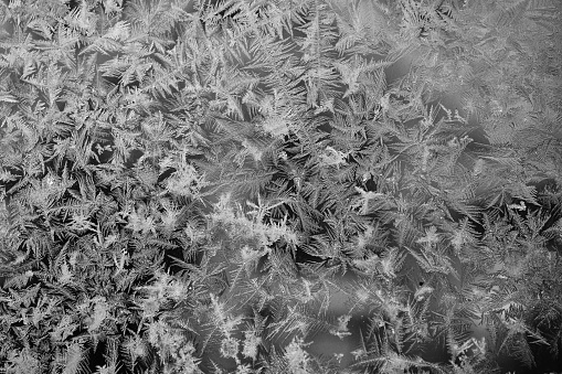 background of Ice fractals on frozen glass.