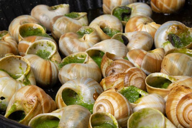 istock snails cooked in garlic and parsley butter 1453125347