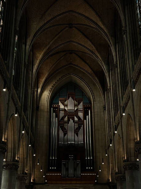 유럽 대성당의 파이프 오르간 - medieval autumn cathedral vertical 뉴스 사진 이미지