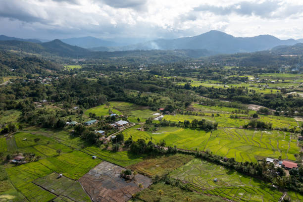 istock Scenery in Ranau town Sabah Borneo Malaysia 1453127872