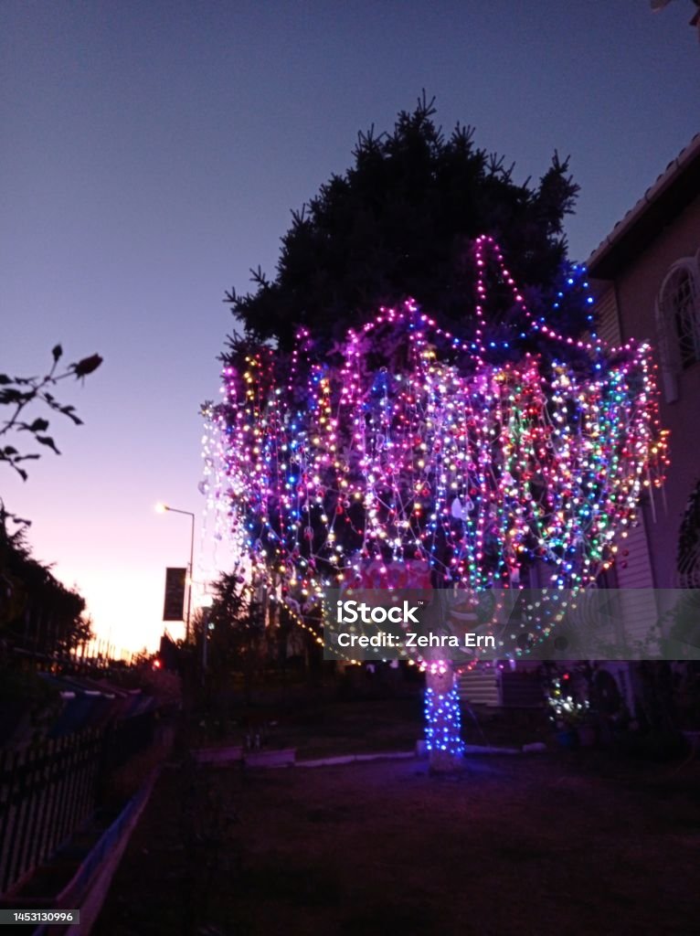 wonderful tree with christmas decorations and lights at sunset Gorgeous tree with colorful Christmas decorations and lights at sunset in purple, blue, yellow Bright Stock Photo