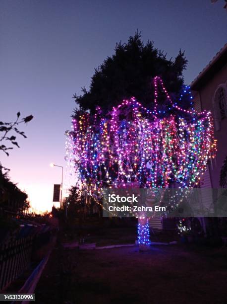 Wonderful Tree With Christmas Decorations And Lights At Sunset Stock Photo - Download Image Now