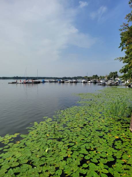 istock Zegrzynski Reservoir 5 1453133969
