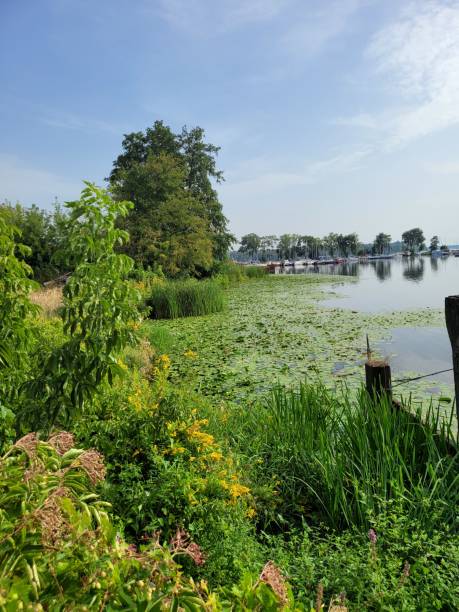 istock Zegrzynski Reservoir 8 1453134026