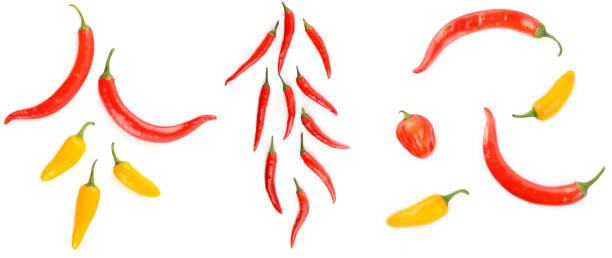 istock Chili pepper isolated on a white . Wide photo. 1453134192