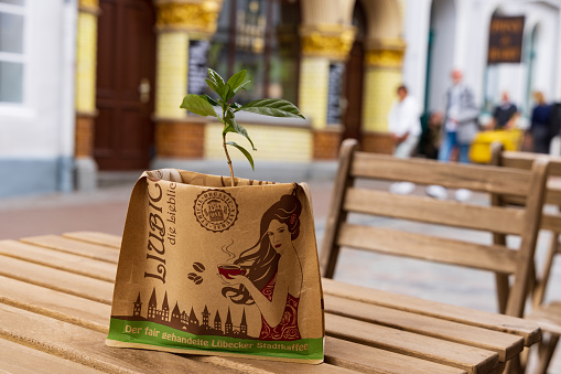 Lubeck, Germany - July 30, 2022: Vintage paper bag with small coffee plant at table of cafe corner in Lubeck Schleswig-holstein in northern Germany