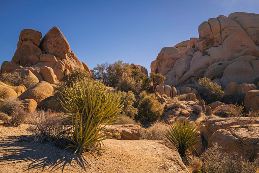 Joshua Tree National Park Hiking Trail Landscape Series, rugged rock formations, red boulders stacked up in abstract shapes of the geological pile in Southern California, USA