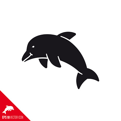 Dolphin vector icon. Aquatic mammal symbol.