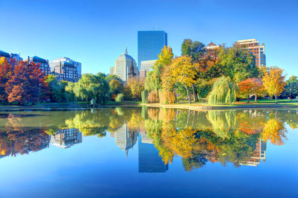 istock Autumn in the Boston Public Garden 1453141697