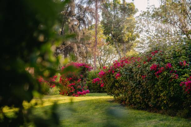 istock Green landscape garden with red flowers 1453141899