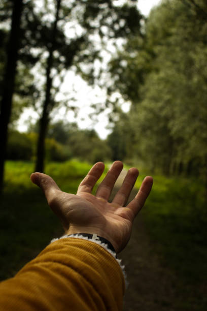 istock Hand Palm opened up in a green forest in nature 1453146748