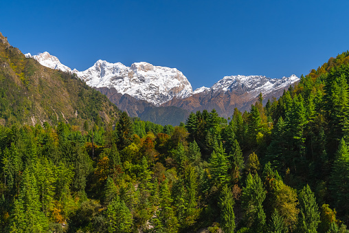 Picturesque view of himalayan mountain range and forest on a sunny cloudless day, Nepal