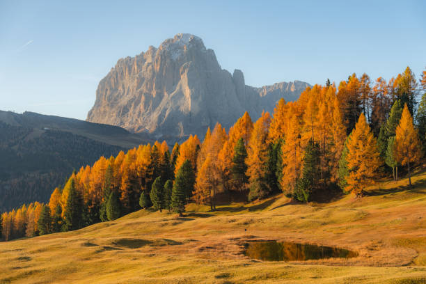 istock Scenic view of Dolomites in autumn 1453151927