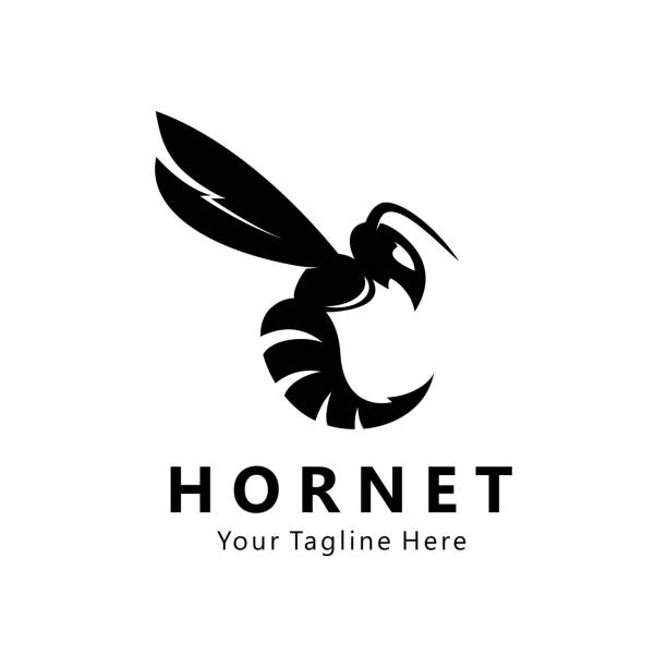 ilustraciones, imágenes clip art, dibujos animados e iconos de stock de logotipo de hornet vector - abejorro