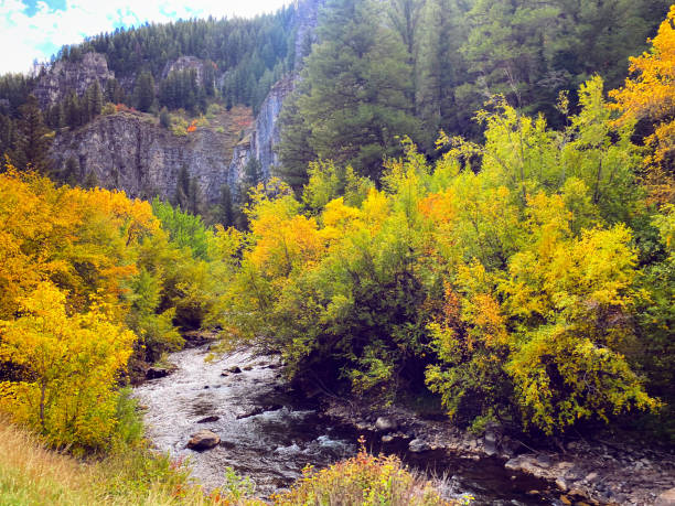 Logan Canyon is in Logan, Utah and is a beautiful spot north of Salt Lake City with grand mountains, rushing water, and gorgeous panoramic views.