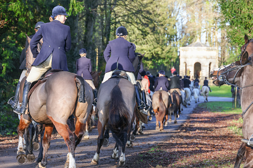 Cirencester, England - December 26, 2022: Huntmaster departing with the pack of hounds at the annual Boxing day gathering of The Vale of the White Horse Hunt in Cirencester Park, Cirencester
