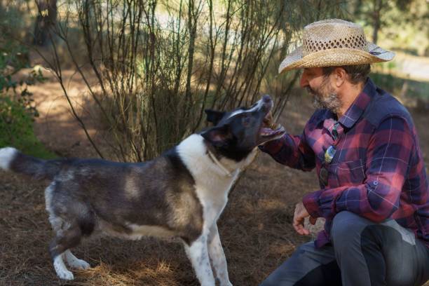 istock man with beard and hat playing with his dog in the mountains 1453154989