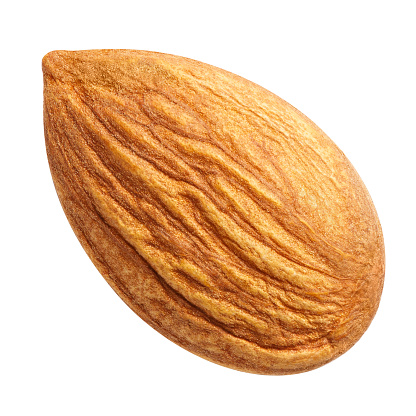 Close-up of delicious single almond, isolated on white background