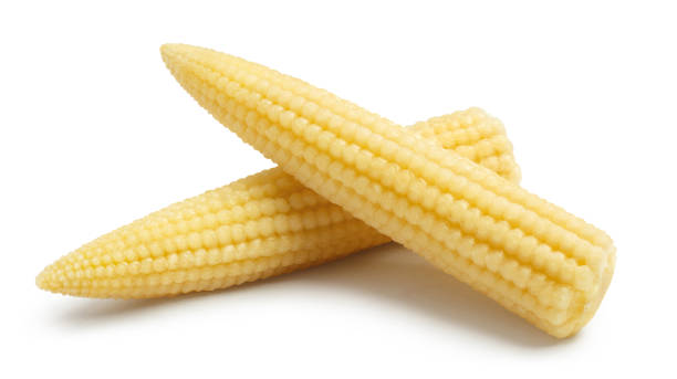 istock Delicious baby corn on white 1453157550