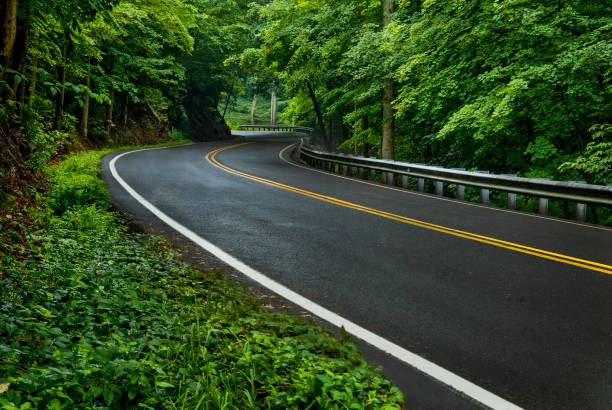istock Smoky Mountain Road After Spring Rain 1453157890