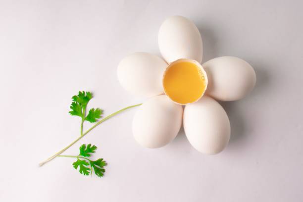 istock Creative flower arranged of eggs and greens on the white background 1453157932