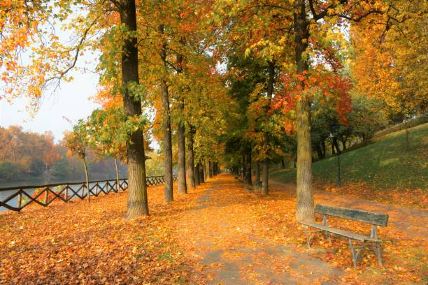 istock Autumn in Turin 1453159128