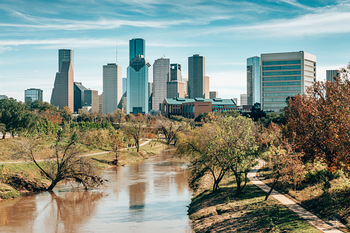 houston skyline from the park