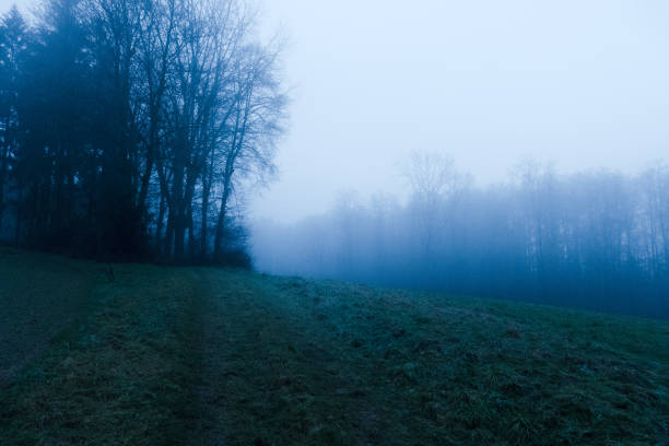The pictures show a truly breathtaking landscape, wrapped in thick fog. The fog gives the landscape a mysterious and almost mystical atmosphere that will captivate the viewer. In the foreground, you can see forests, fields, and a lake, wrapped in thick fog, creating an almost surreal atmosphere.\n\nAt the center of the pictures stands a picturesque farmhouse, which fits perfectly into the landscape and completes the idyllic picture. The farmhouse exudes an aura of peace and tranquility, inviting you to a contemplative moment of relaxation.\n\nThese pictures are perfect as background images for various projects or as art prints for the home. They will definitely captivate every viewer and be a true feast for the eyes. The unique beauty of the landscape, combined with the picturesque farmhouse, will be fascinating and inspiring, transforming every room into a magical and dreamlike place. These pictures are truly moving and are sure to astonish.