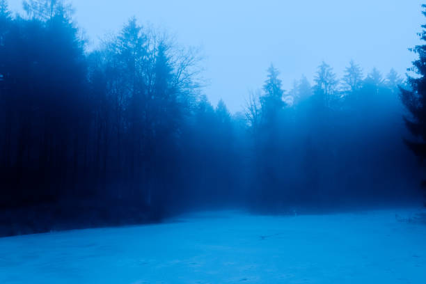 istock Landscape in fog 1453161910