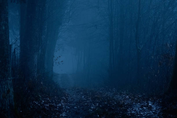 istock Landscape in fog 1453161955