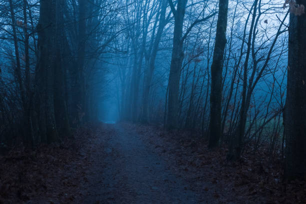 istock Landscape in fog 1453162134