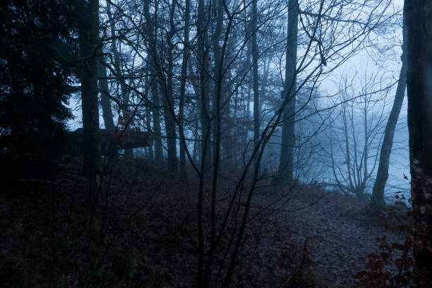 istock Landscape in fog 1453162173