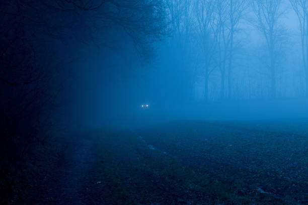 istock Landscape in fog 1453162468