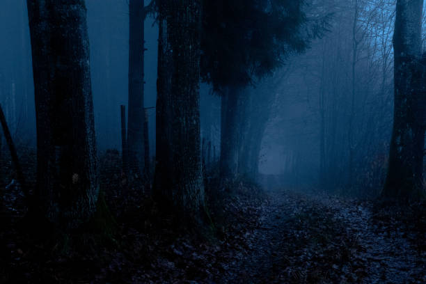 istock Landscape in fog 1453162581