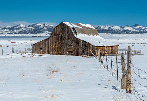 istock Old Barn in Colorado's Wet Mountain Valley 1453163917