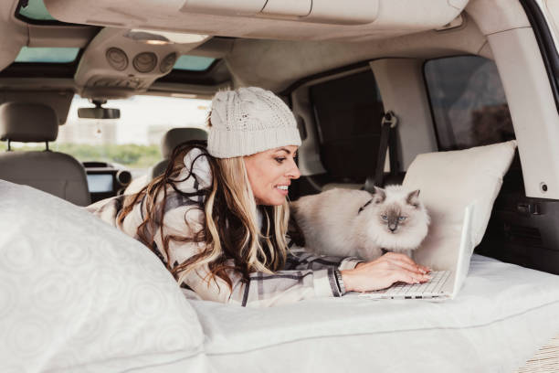 istock a digital nomad woman in camper van using laptop, cat next to her 1453164892