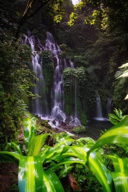 Banyu Wana Amertha Waterfalls